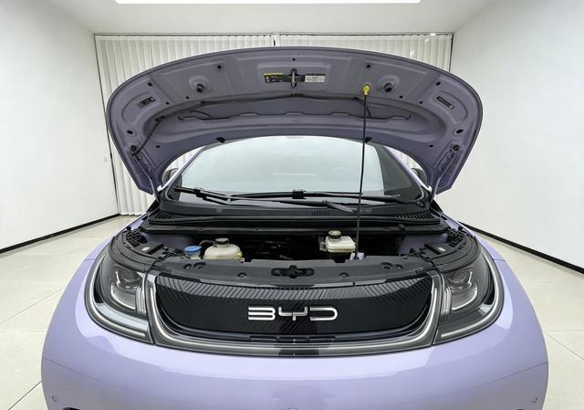 BYD Dolphin 2023 thumb 8