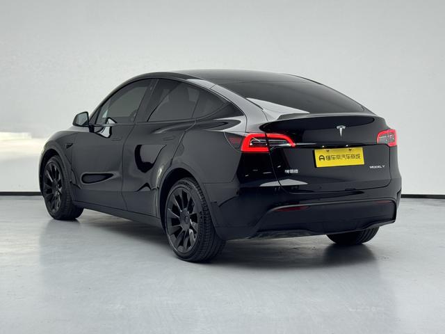 Tesla Model Y 2021 thumb 3