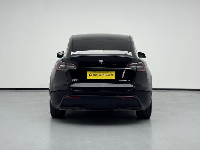 Tesla Model Y 2021 thumb 4