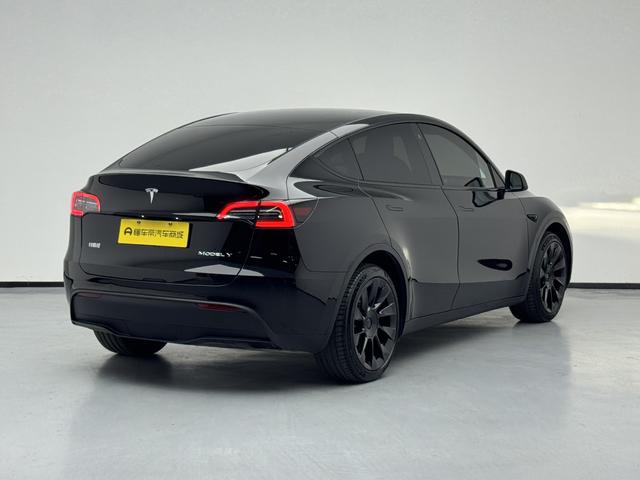 Tesla Model Y 2021 thumb 5