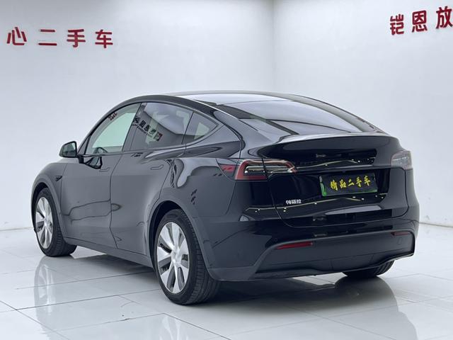 Tesla Model Y 2021 thumb 2