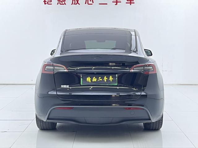 Tesla Model Y 2021 thumb 3