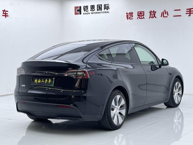 Tesla Model Y 2021 thumb 4