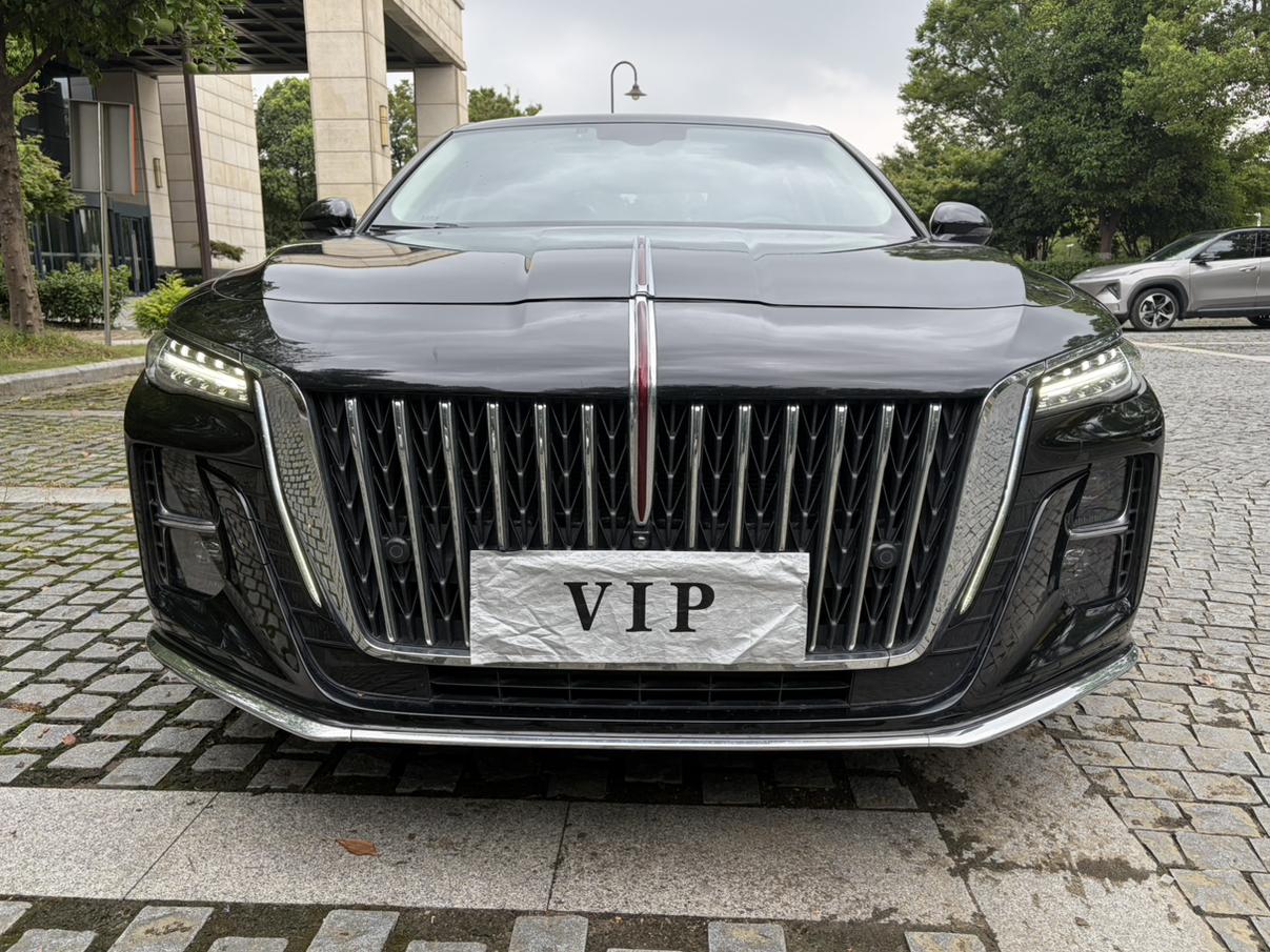 Hongqi H5 2023 thumb 9