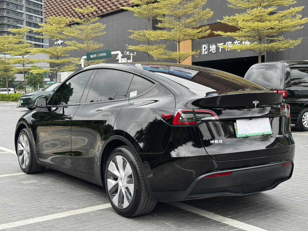 Tesla Model Y 2021 thumb 3