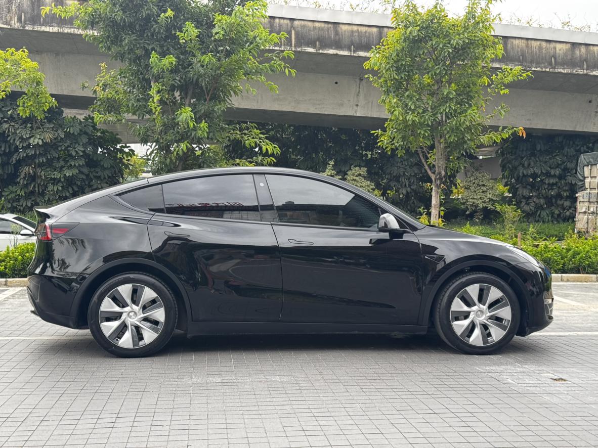 Tesla Model Y 2021 thumb 6