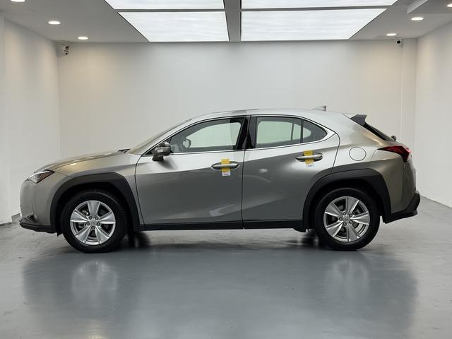 Lexus UX 2020 thumb 2