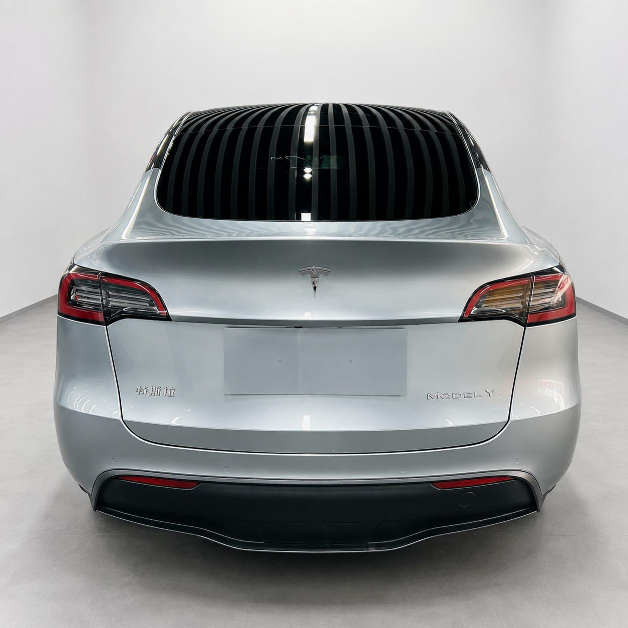 Tesla Model Y 2021 thumb 3