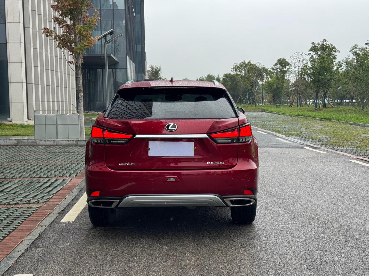 Lexus RX 2020 thumb 4