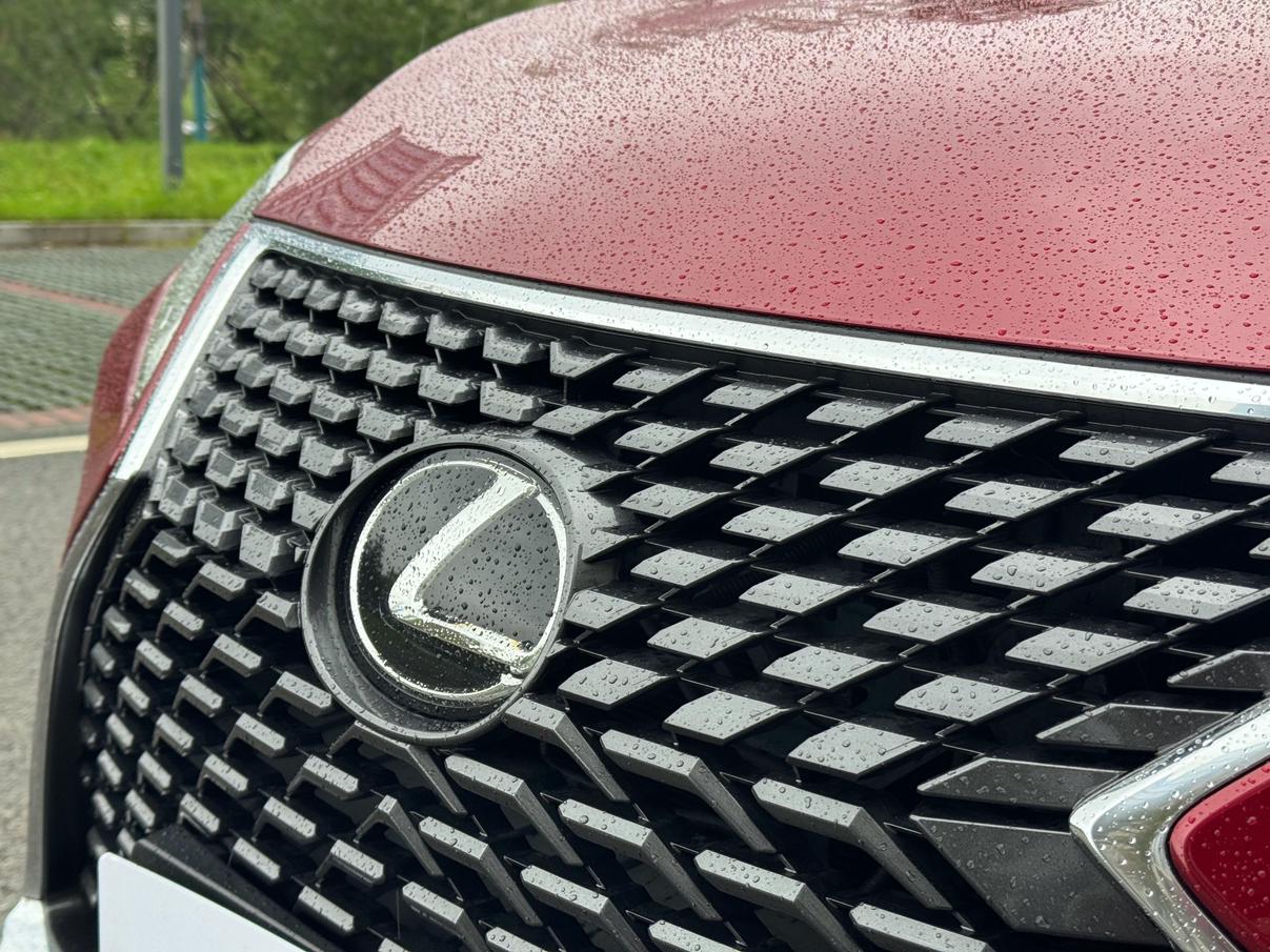 Lexus RX 2020 thumb 8