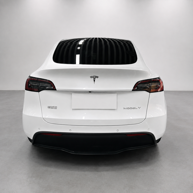 Tesla Model Y 2021 thumb 3
