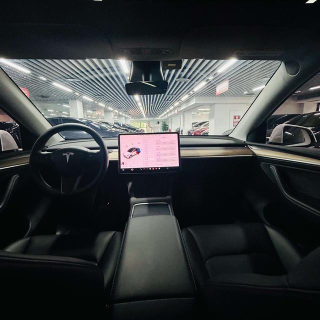 Tesla Model Y 2021 thumb 6