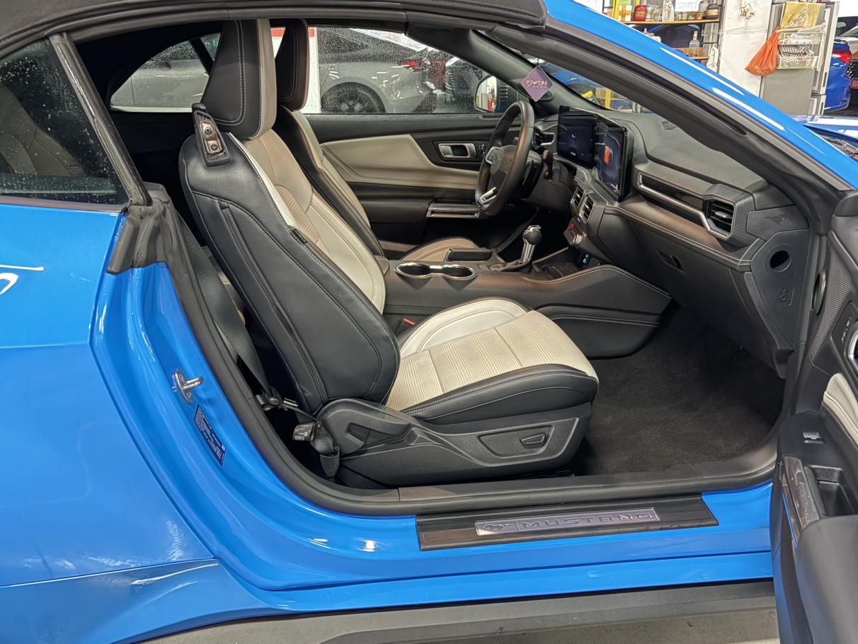 Ford Mustang Mach-E 2024 thumb 12