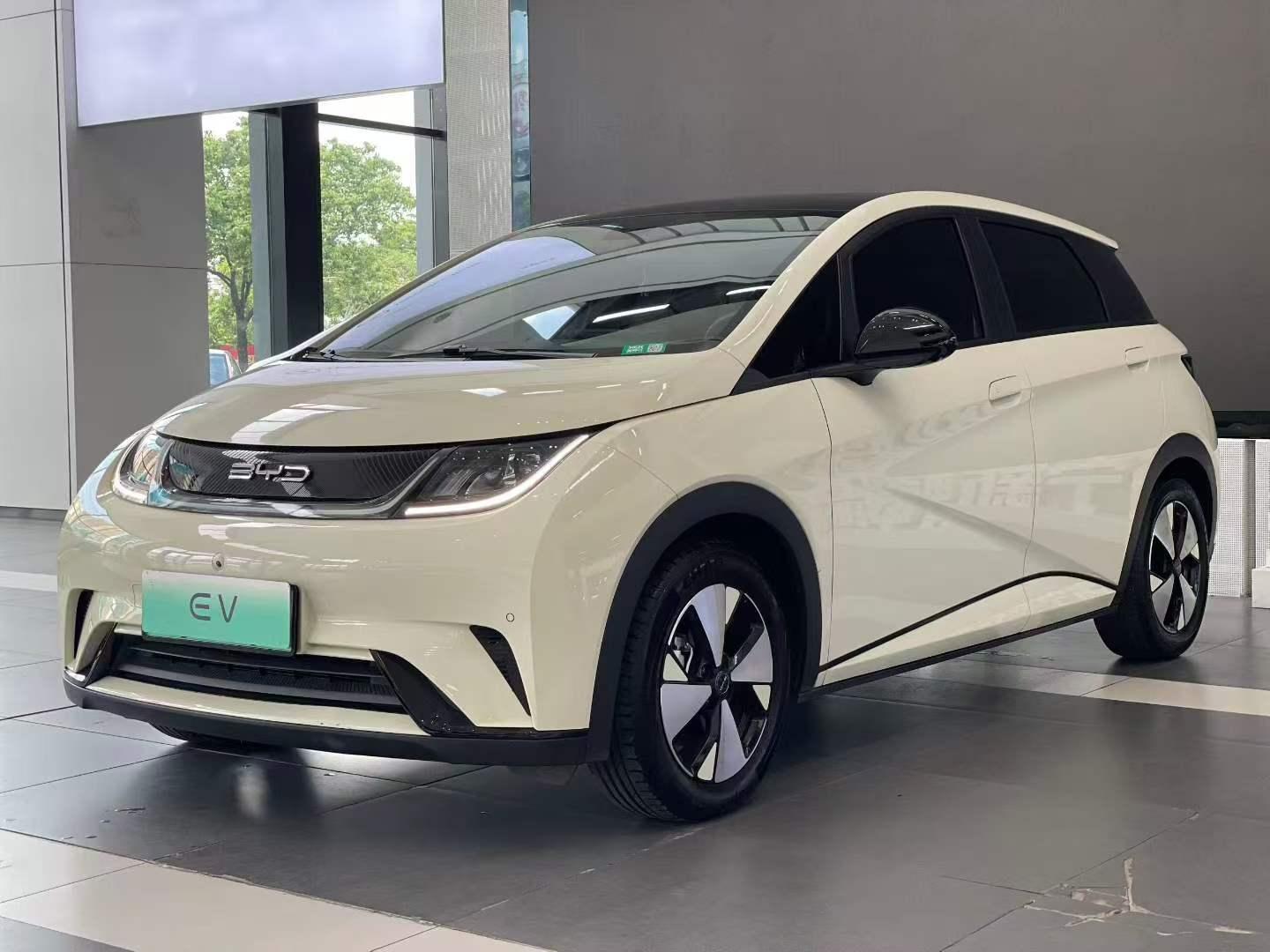 BYD Dolphin 2023 thumb 8