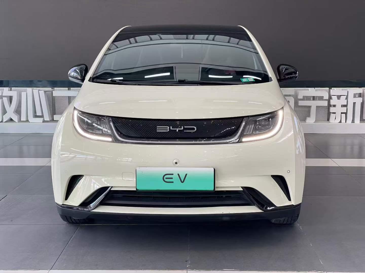 BYD Dolphin 2023 thumb 9