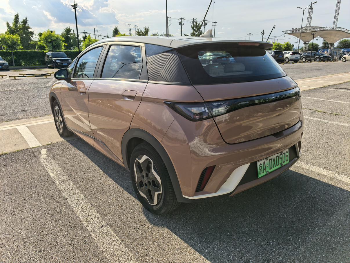 BYD Dolphin 2021 thumb 2