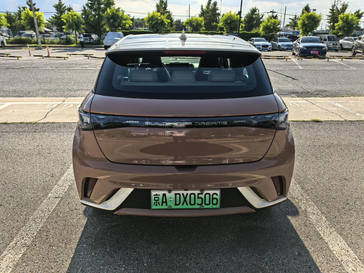 BYD Dolphin 2021 thumb 3