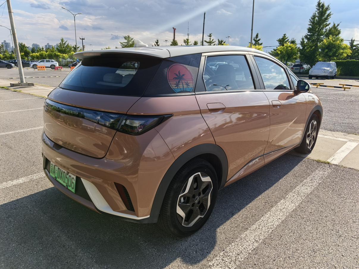 BYD Dolphin 2021 thumb 4