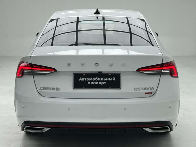Skoda Ming Rui 2023 thumb 4