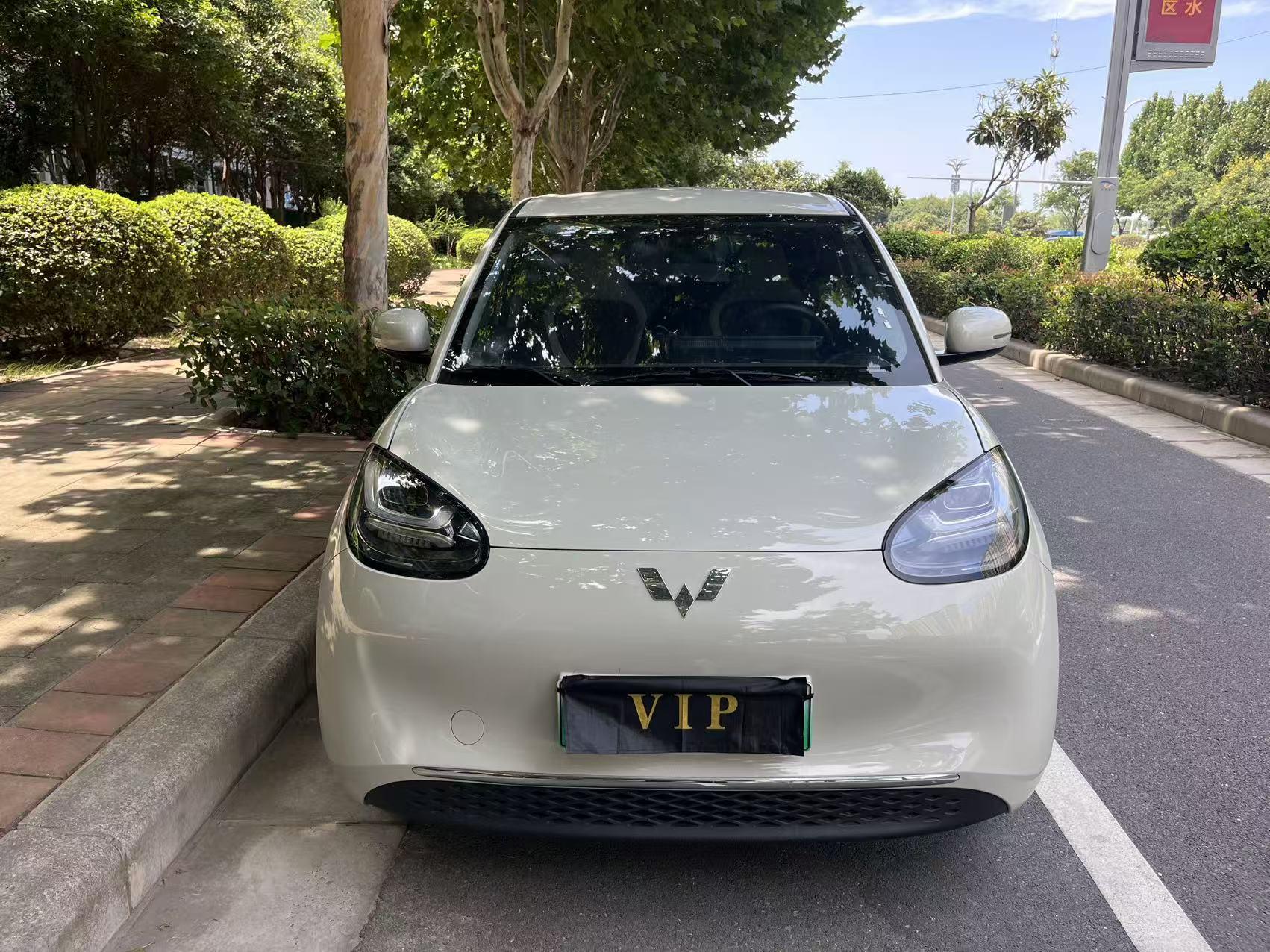 Wuling Bin Guo 2023 thumb 10