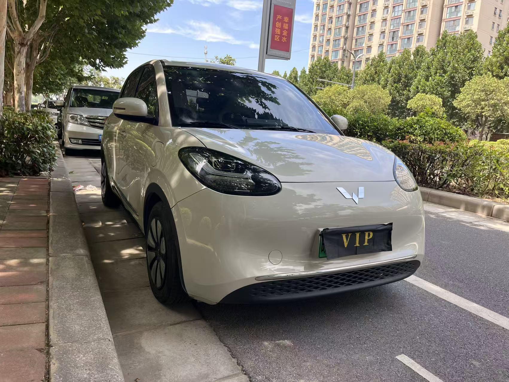 Wuling Bin Guo 2023 thumb 11