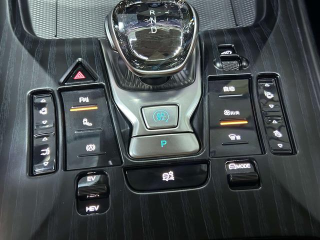 Denza D9 DM 2024 thumb 8