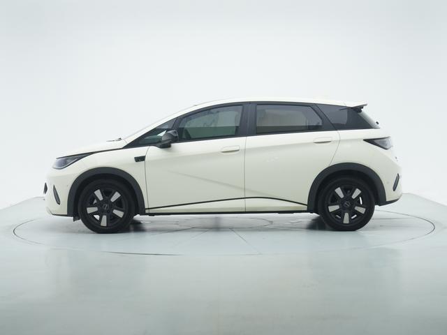 BYD Dolphin 2025 thumb 2