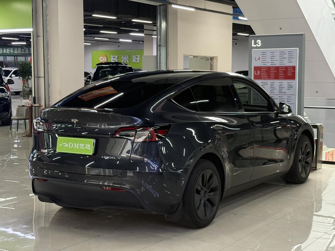Tesla Model Y 2024 thumb 4