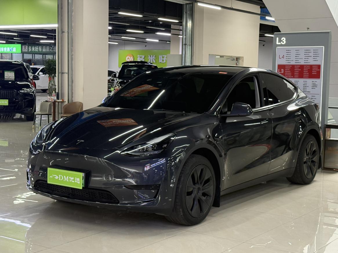 Tesla Model Y 2024 thumb 9