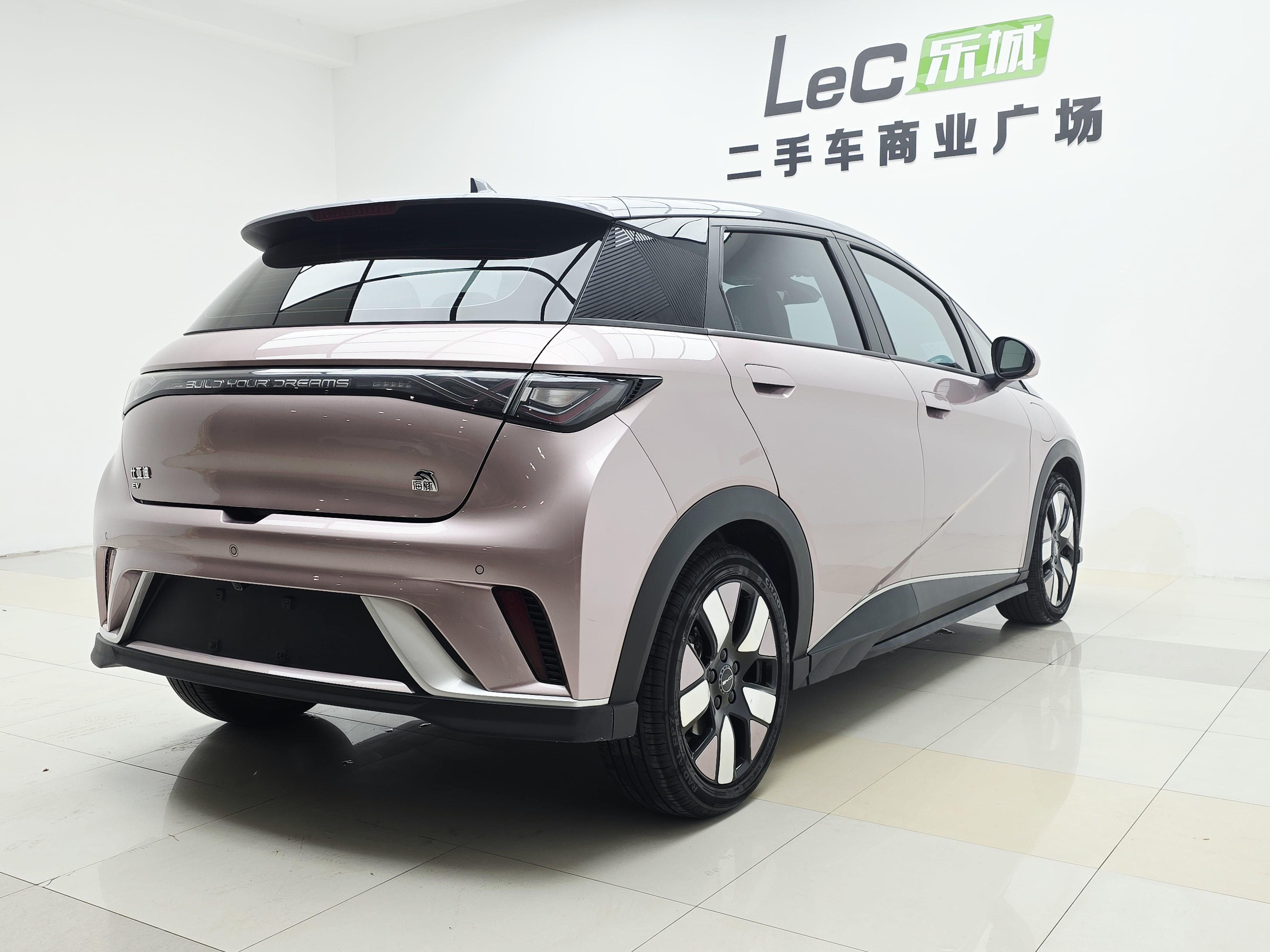 BYD Dolphin 2021 thumb 4
