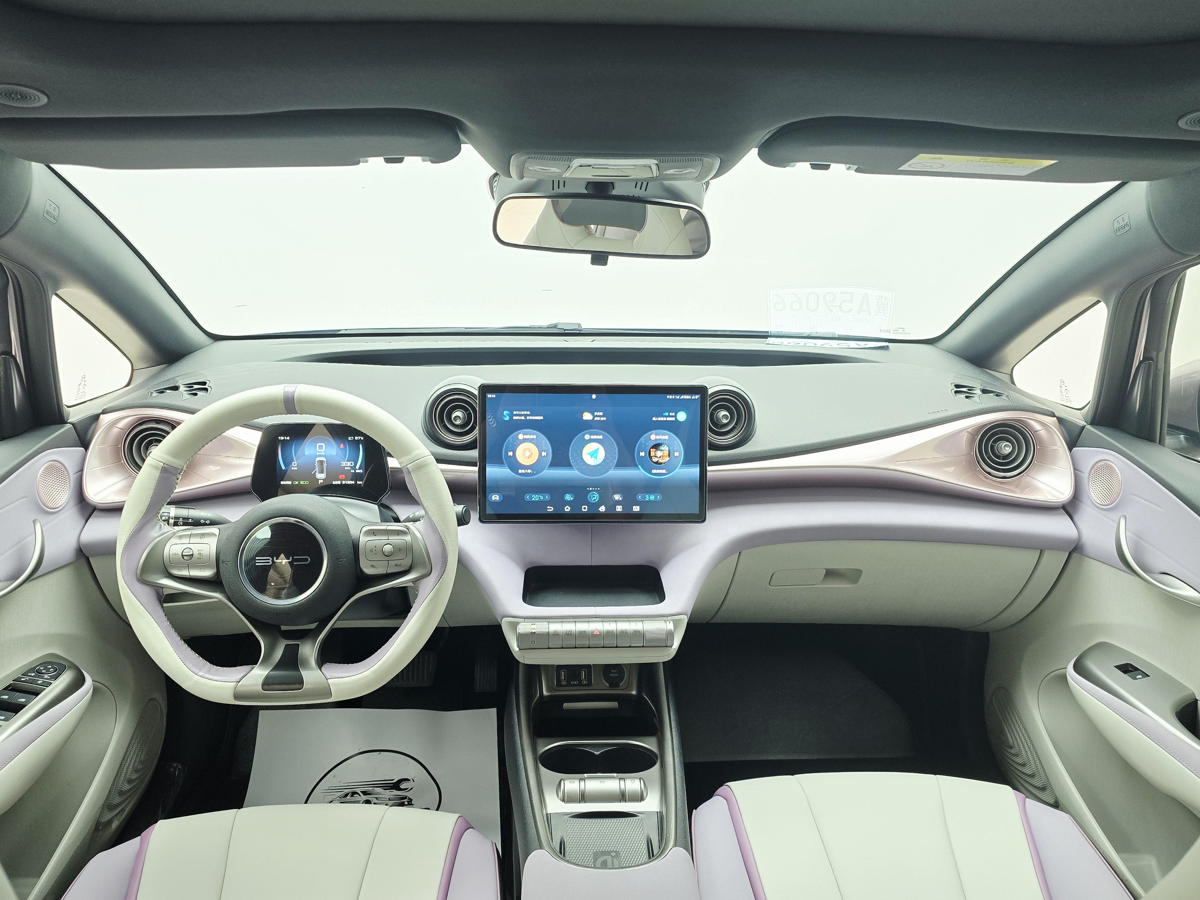 BYD Dolphin 2021 thumb 5