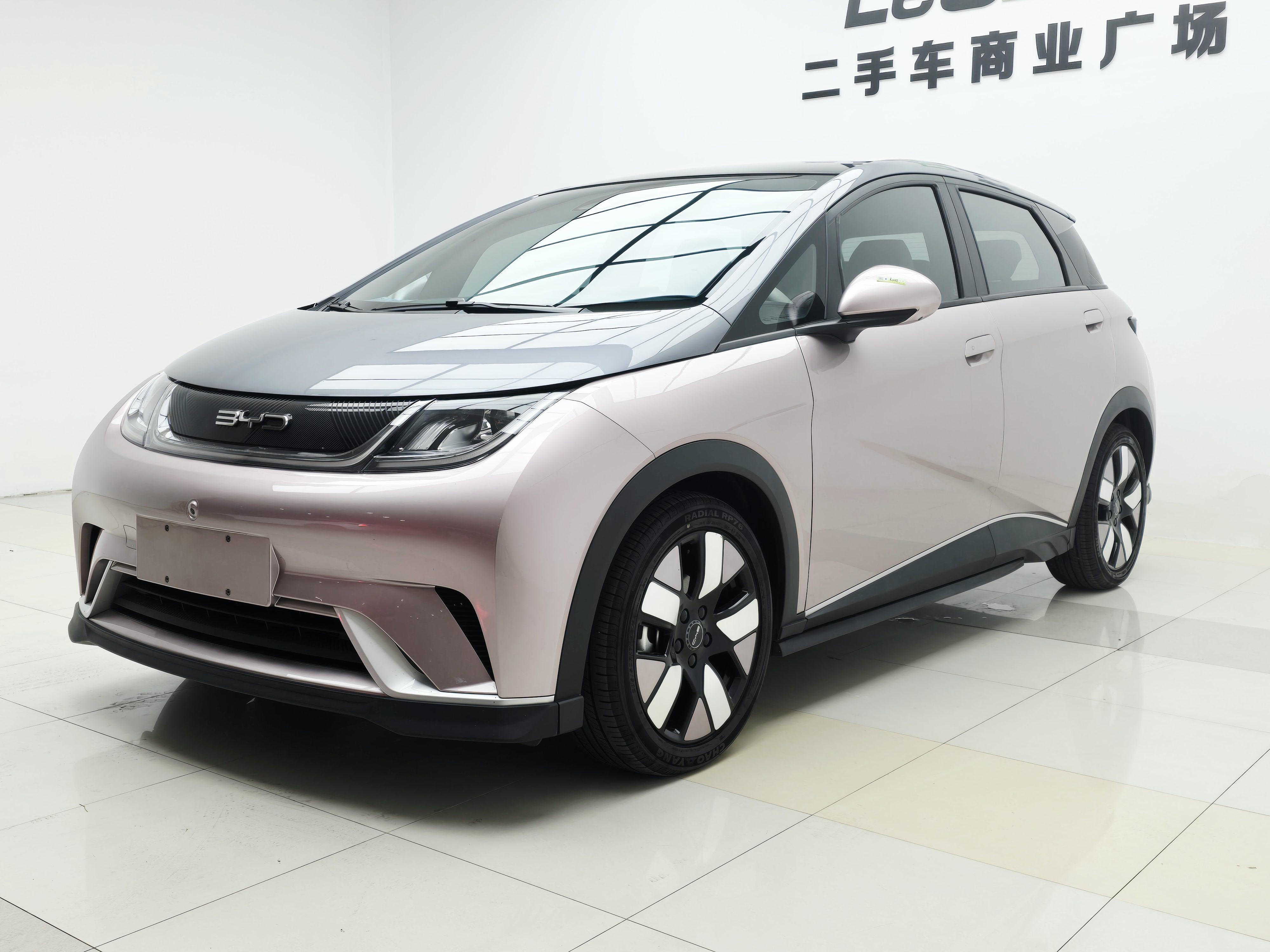 BYD Dolphin 2021 thumb 8