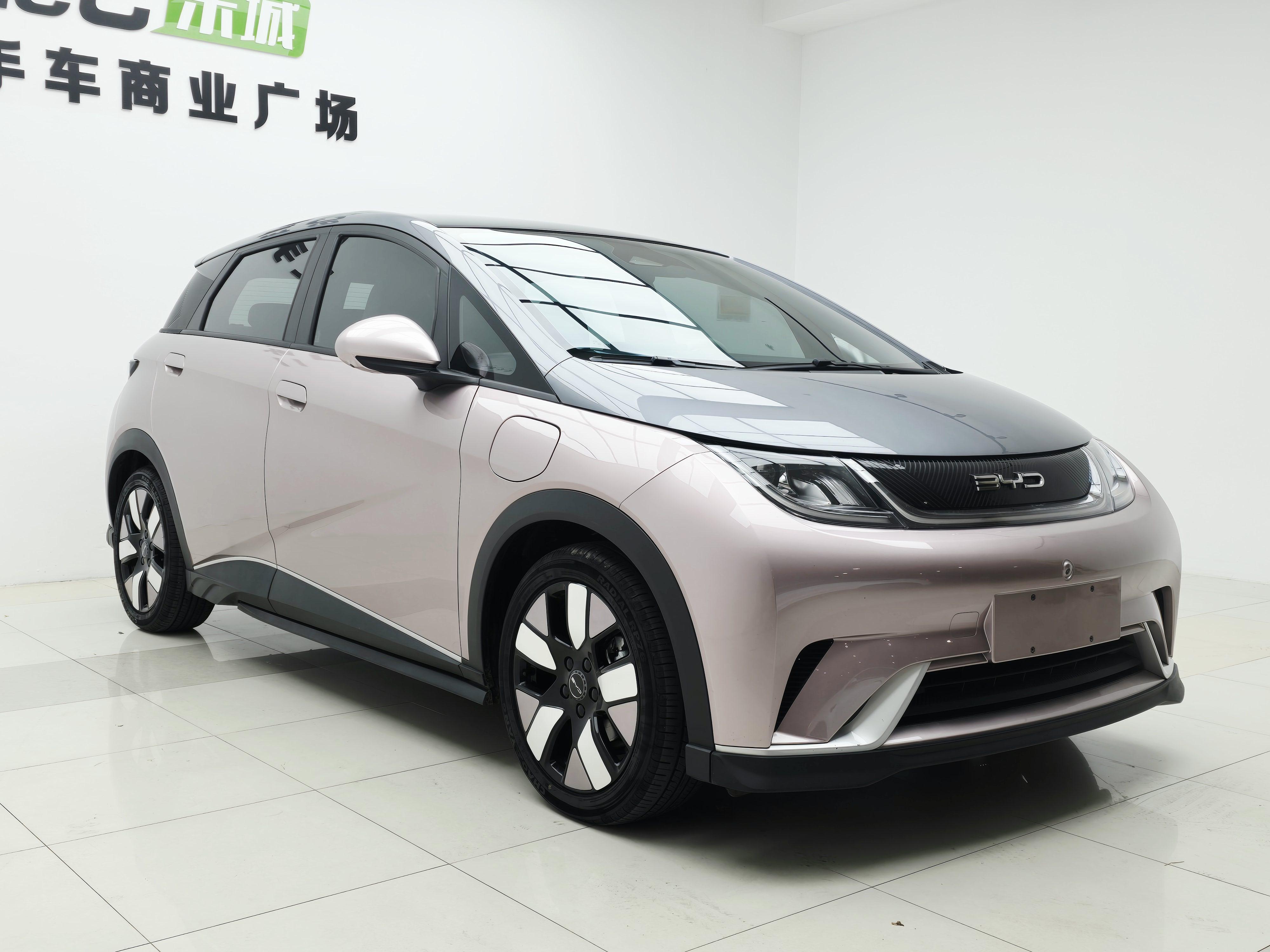 BYD Dolphin 2021 thumb 10