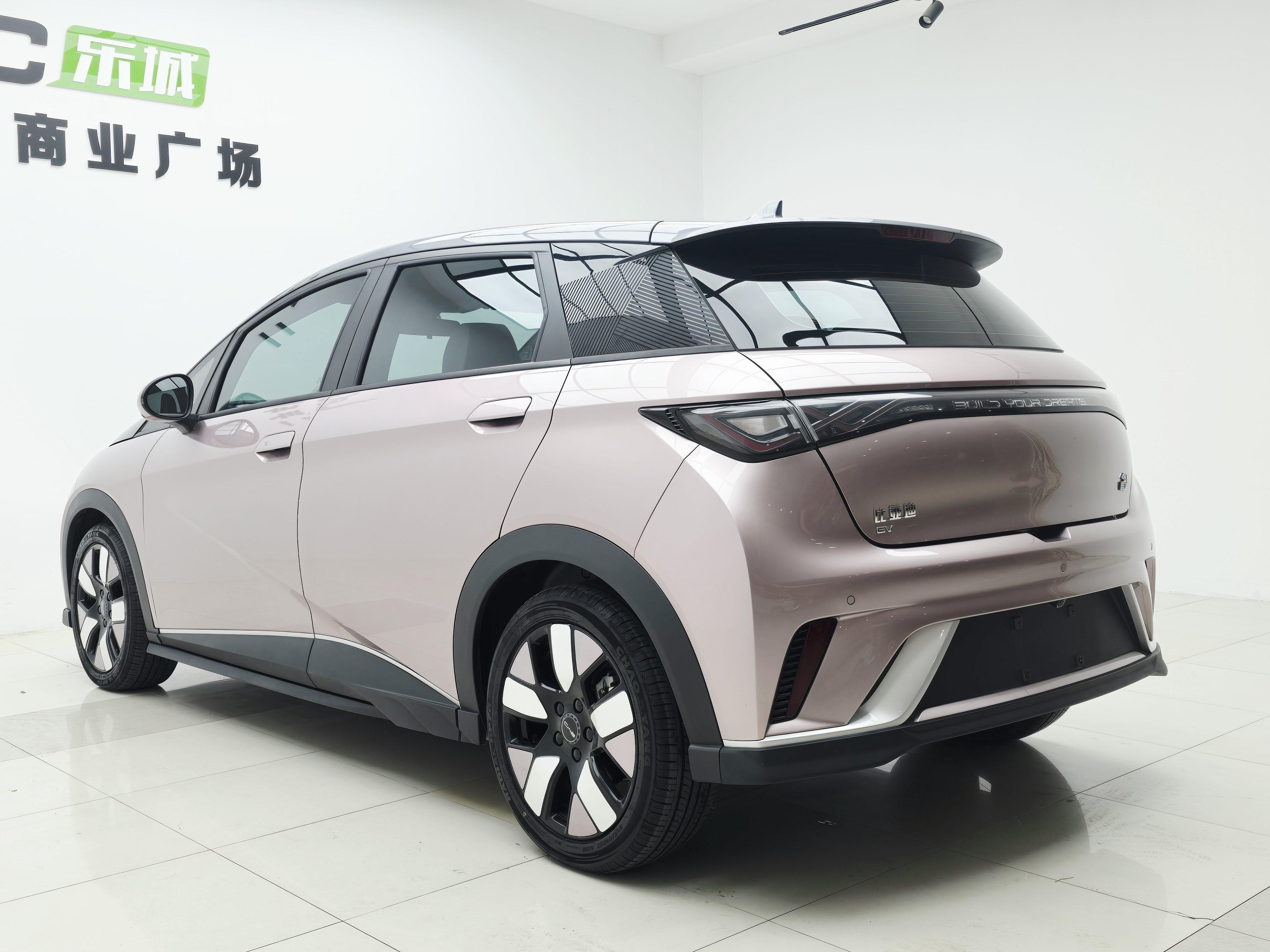 BYD Dolphin 2021 thumb 11