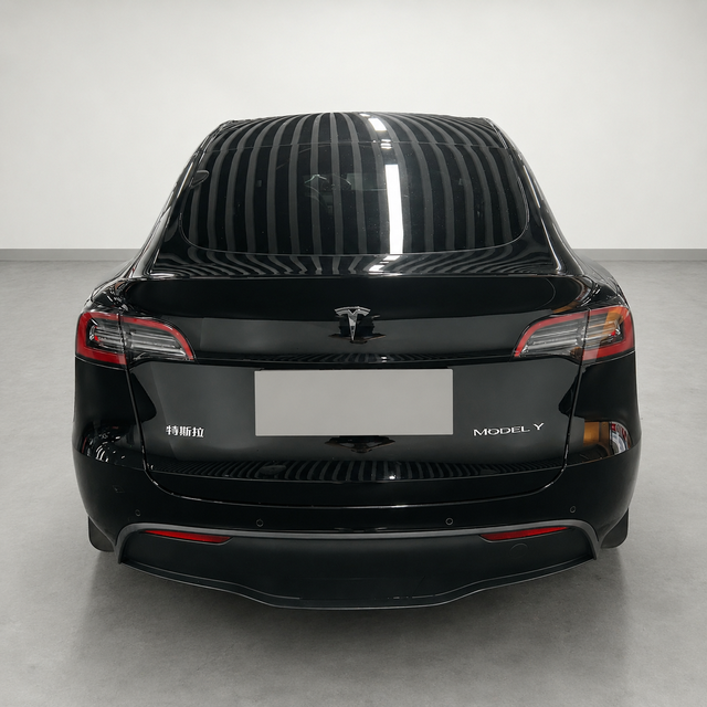 Tesla Model Y 2021 thumb 3