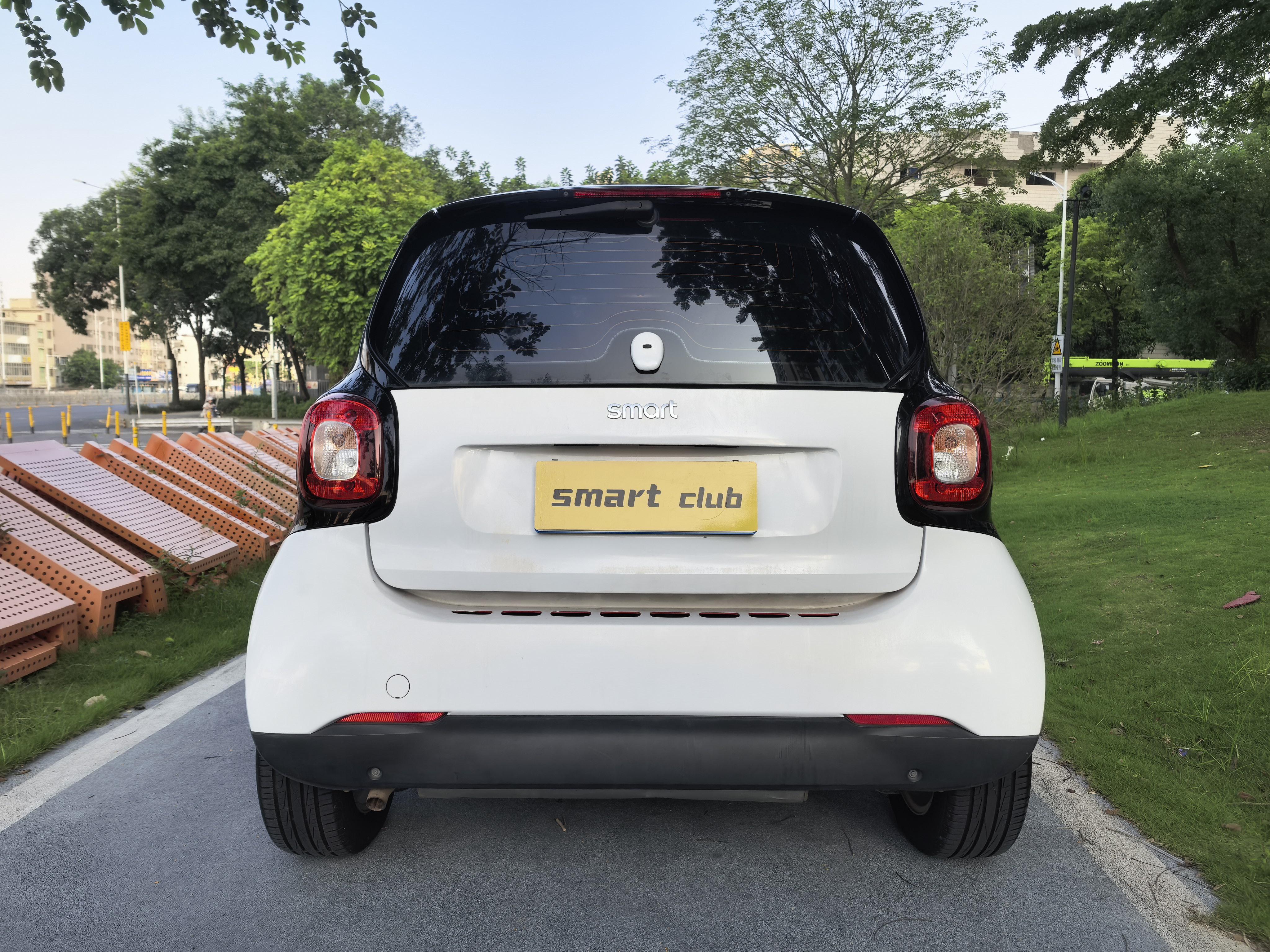 Smart Fortwo 2015 thumb 3