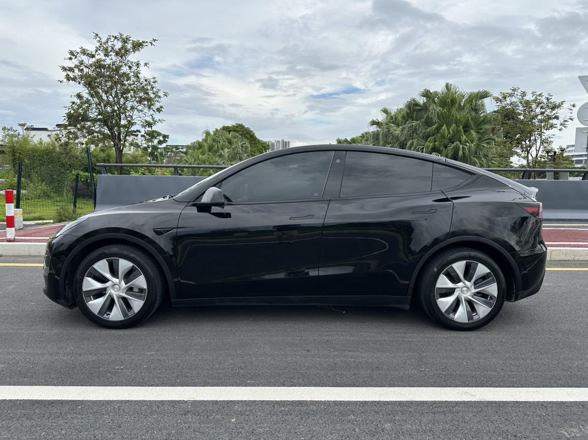Tesla Model Y 2021 thumb 2