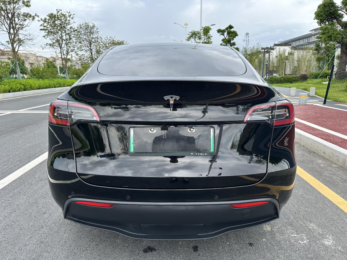Tesla Model Y 2021 thumb 4