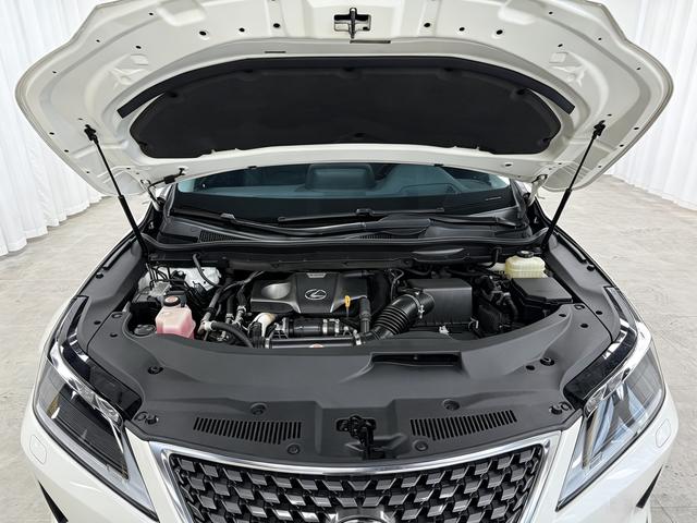 Lexus RX 2020 thumb 8