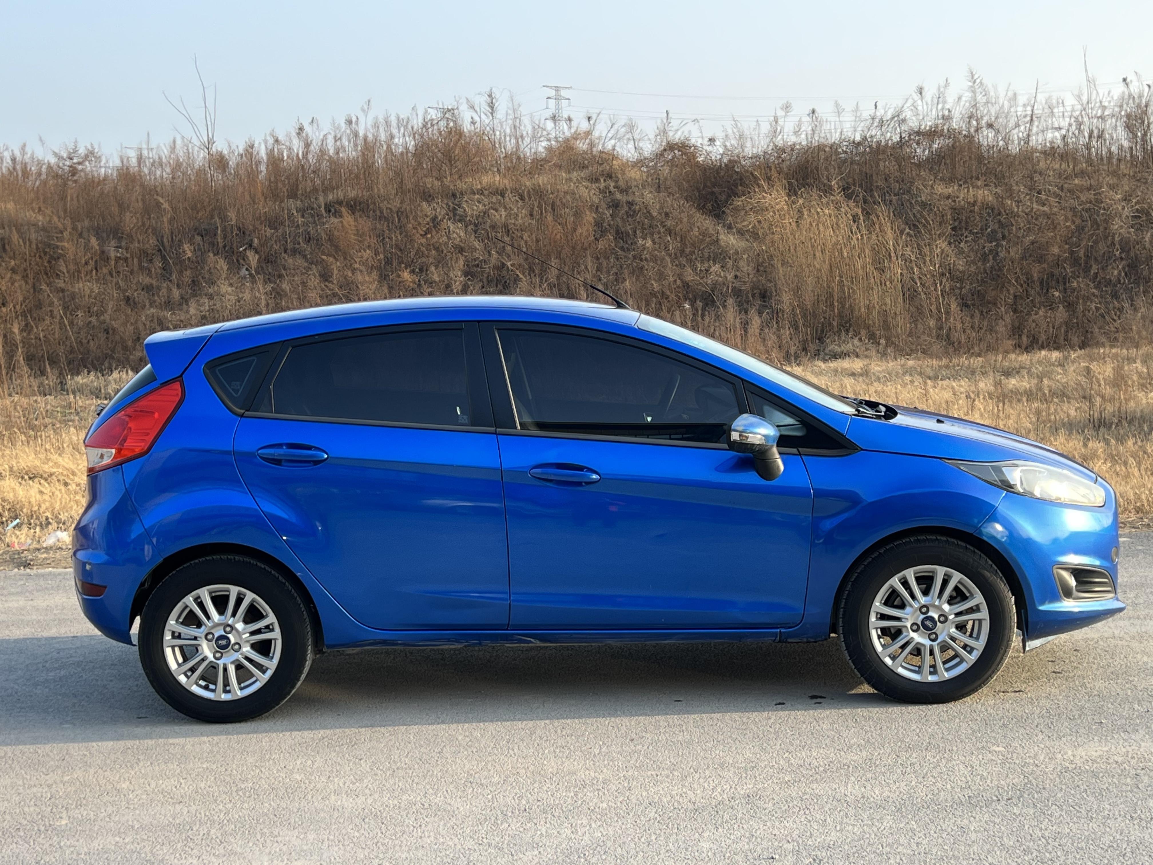 Ford Jia Nian Hua 2013 thumb 6