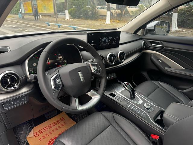 Wey VV6 2021 thumb 12