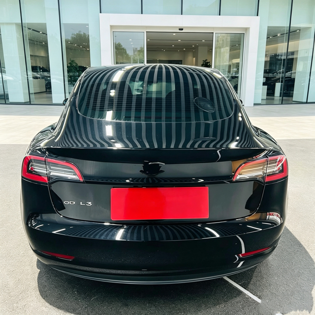 Tesla Model 3 2022 thumb 3