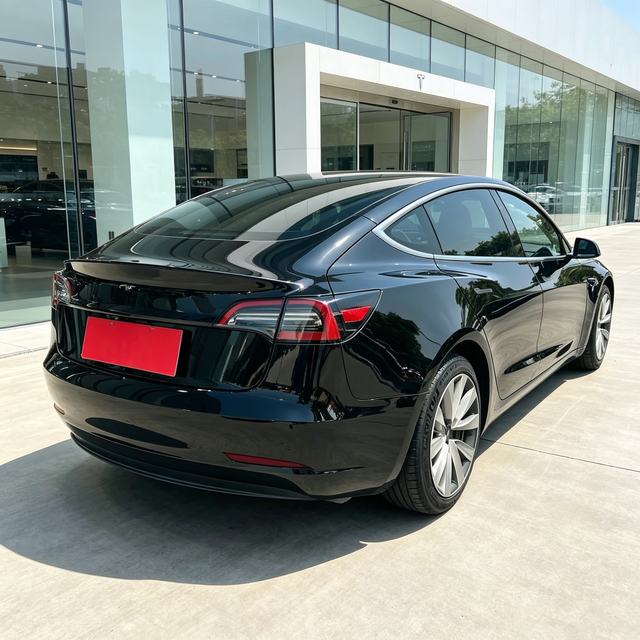 Tesla Model 3 2022 thumb 4