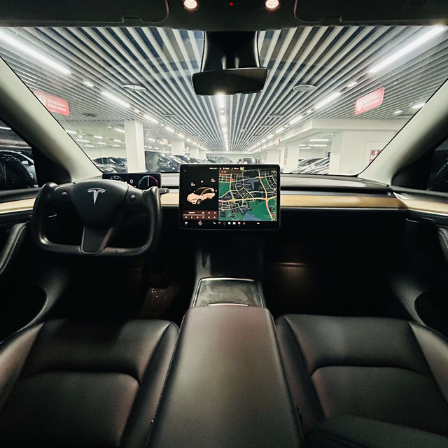 Tesla Model Y 2021 thumb 6