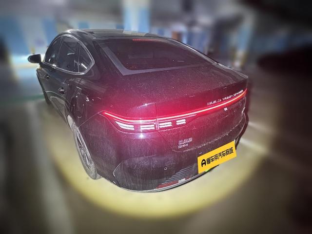 BYD Destroyer 05 2023 thumb 12