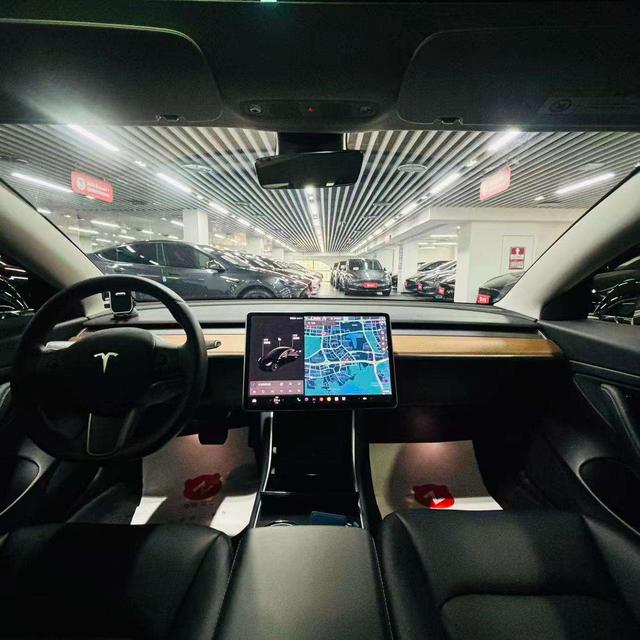 Tesla Model 3 2020 thumb 6