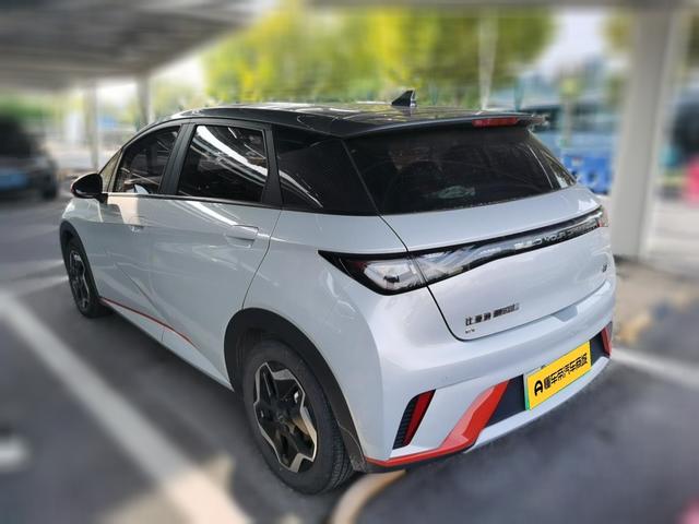BYD Dolphin 2021 thumb 2