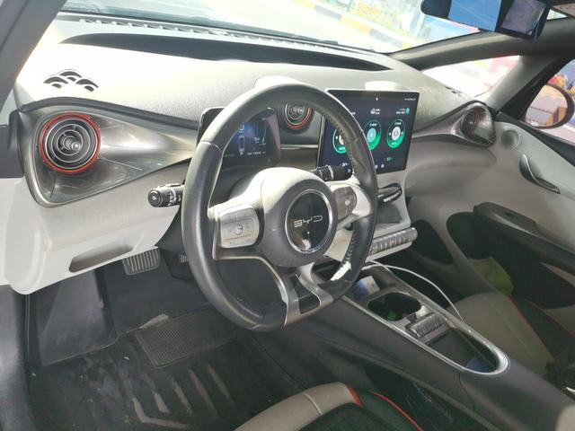 BYD Dolphin 2021 thumb 5