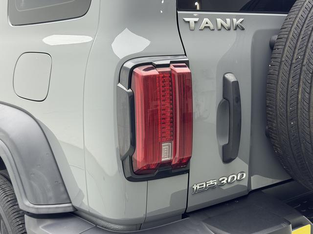 Tank 300 2021 thumb 11