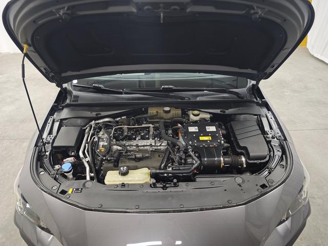 GAC TRUMPCHI 2023 thumb 8